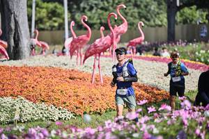 BIB: 
                            <button type="button" onclick="openModal(27793335)" class="btn btn-primary btn-sm float-right btn-popup" data-toggle="modal" data-target=".modal-high-quality">
                        <i class="fas fa-shopping-cart"></i> Add to Cart
                    </button>
                                            <button type="button" onclick="isThisMe(27793335, true)" class="btn btn-success btn-sm float-right btn-popup btn-isme hidden" data-toggle="tooltip" data-placement="bottom" title="นี่คือรูปของคุณใช่ไหม คลิกที่นี่เพื่อเอาเข้าอัลบั้ม">
                        <i class="fas fa-plus"></i> Add to album
                    </button>
                    <button type="button" onclick="isThisMe(27793335, false)" class="btn btn-warning btn-sm float-right btn-popup btn-isnotme hidden">
                        <i class="fas fa-ban"></i> Remove from album
                    </button>